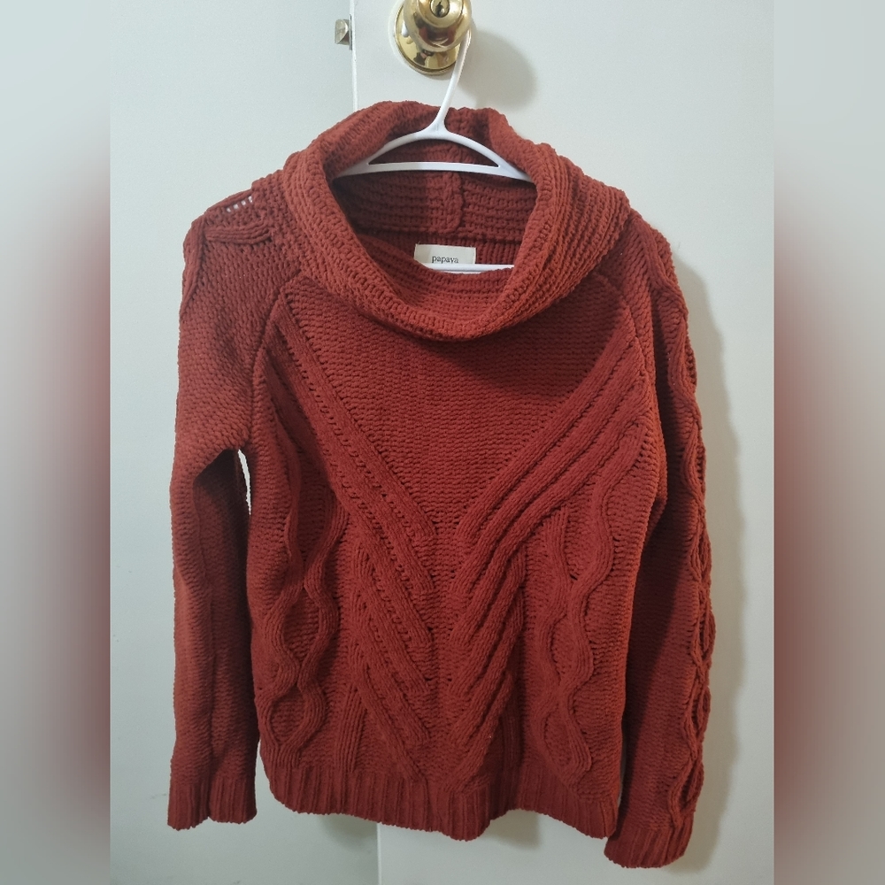 Papaya Cowl Turtleneck Sweater